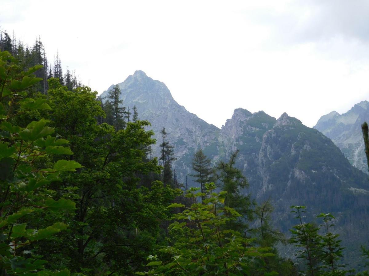 Ferienwohnung High Tatras - Patris 27 Tatranska Strba Exterior foto