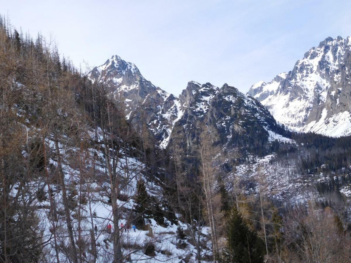 Ferienwohnung High Tatras - Patris 27 Tatranska Strba Exterior foto